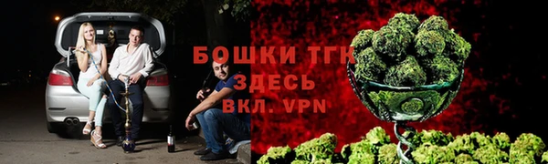 сатива Абинск