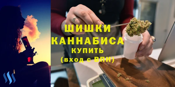 сатива Абинск