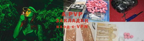 сатива Абинск