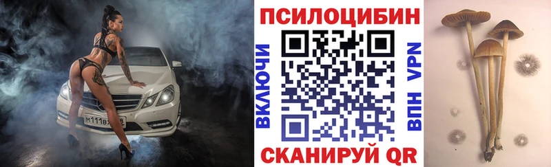 цены Иноземцево Псилоцибиновые грибы ЛСД